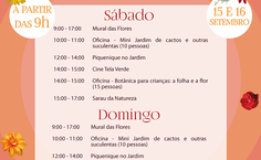 Confira a programação