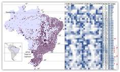 Perfil de ocorrências de suicídio no brasil (2010 a 2015), por município; é possivel observar padrão sazonal com maior frequencia no final da primavera para verão (quadrados mais escuros), e menor ocorrência no inver.png