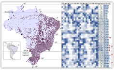 Perfil de ocorrências de suicídio no brasil (2010 a 2015), por município; é possivel observar padrão sazonal com maior frequencia no final da primavera para verão (quadrados mais escuros), e menor ocorrência no inver.png