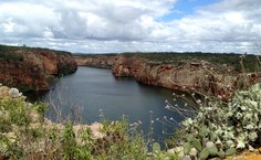 Caatinga é um dos biomas menos conhecidos do país