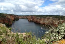 Caatinga é um dos biomas menos conhecidos do país