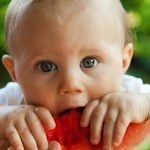 Ciclo de palestras debate Alimentação na Primeira Infância