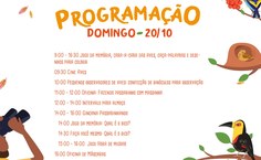 Programação