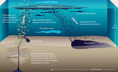 Ilustração mostra como ocorre o processo de fragmentação do óleo no mar