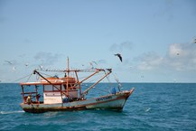 Pesca e turismo são prejudicados (foto: Cláudio Sampaio)