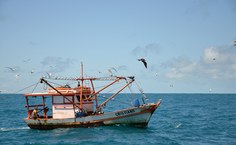 Pesca e turismo são prejudicados (foto: Cláudio Sampaio)