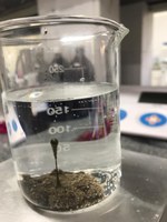 Pesquisadores estão empenhados em encontrar respostas para desastre ambiental no NE