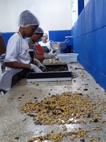 Ufal e Visão Mundial qualificam marisqueiras em unidade experimental de processamento