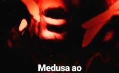 Medusa ao reverso