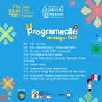 Confira a programação