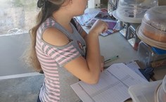 Pesquisa da Fanut caracterizou lanches vendidos na Ufal