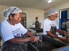 Ufal realiza campanha solidária para ajudar marisqueiras de Alagoas