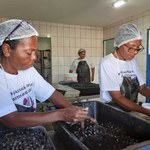 Ufal realiza campanha solidária para ajudar marisqueiras de Alagoas