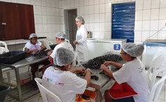 Comercialização do sururu caiu mesmo sem ter sido atingido por óleo