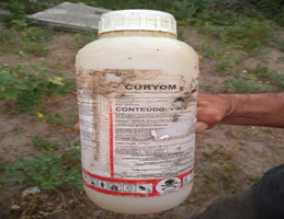 Municípios do Agreste apresentam alto índice de intoxicação por agrotóxicos