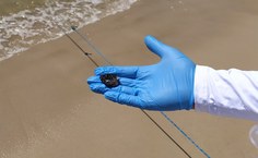 Foto: Manoel Oliveira Jr.