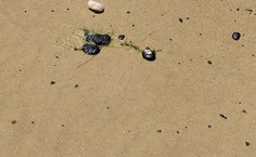 Foto: Manoel Oliveira Jr.