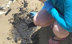 Foto: Manoel Oliveira Jr.