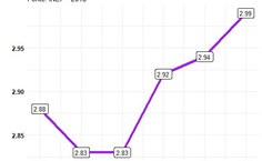 Confira a evolução