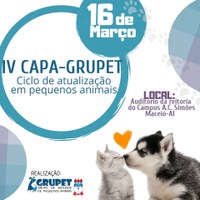 Grupo promove atualização em clínica de pequenos animais