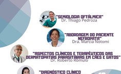 Arte de divulgação