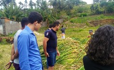 Professores e estudantes da Ufal dão apoio na produção de peneiras de bambus