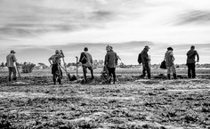 Trabalhadores rurais deixam as terras da Ufal mais férteis. Foto: Renner Bolsrino