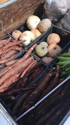 Alimentos dos agricultores fornecidos no mês de dezembro ao RU