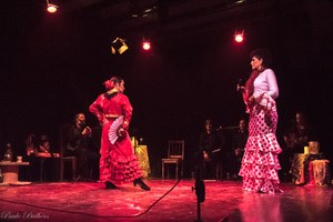 Espaço Cultural recebe espetáculo e oficina de dança flamenca