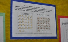 Exposição mostra diferença entre linguagem e língua de sinais