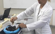 Pesquisadora Élica Guedes mostra lixo preso às algas