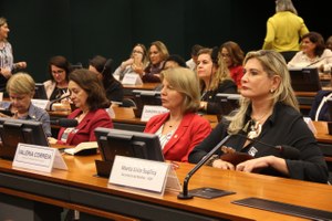Reitora participa de audiência junto à Bancada Feminina da Câmara dos Deputados