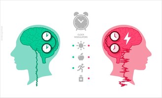 Pesquisa estuda formas de controlar e tratar crises epilépticas