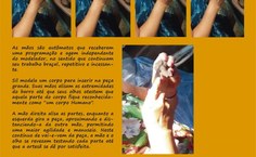 Arte de divulgação