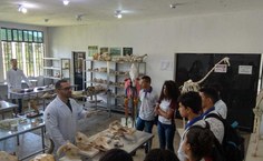 Peças ficarão expostas no Ibama, em Maceió, no próximo sábado (8)