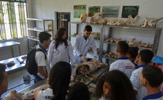 Peças ficarão expostas no Ibama, em Maceió, no próximo sábado (8)