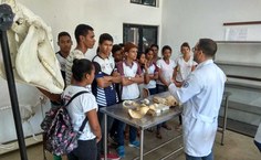 Peças ficarão expostas no Ibama, em Maceió, no próximo sábado (8)