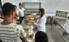 Peças ficarão expostas no Ibama, em Maceió, no próximo sábado (8)