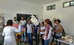 Peças ficarão expostas no Ibama, em Maceió, no próximo sábado (8)