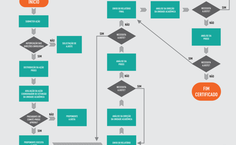 Confira o fluxograma do módulo de extensão