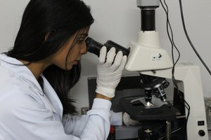 Pesquisa avalia uso de plantas medicinais no tratamento das leishmanioses