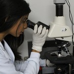 Pesquisa avalia uso de plantas medicinais no tratamento das leishmanioses