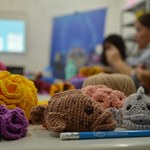 Projeto Meros do Brasil realiza Oficina de Amigurumi