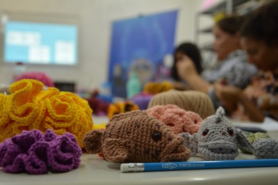 Oficina de Amigurumi do projeto Meros do Brasil. Foto: Tiago Albuquerque | nothing