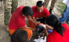 Voltado para os profissionais da área de salvamento, busca e policiamento, que trabalham diretamente com animais