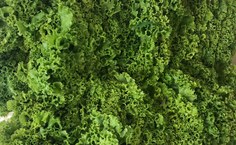 Entrega da agricultura familiar em Delmiro Gouveia