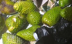 Entrega da agricultura familiar em Delmiro Gouveia