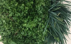 Entrega da agricultura familiar em Delmiro Gouveia