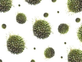 Hospital Universitário organiza Simpósio Alagoano de HTLV