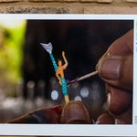 Museu Théo Brandão recebe exposição de fotografias
